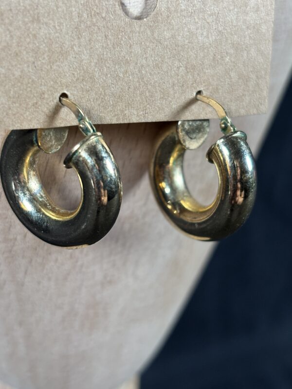 Item #1(Gold Earrings) - Image 4