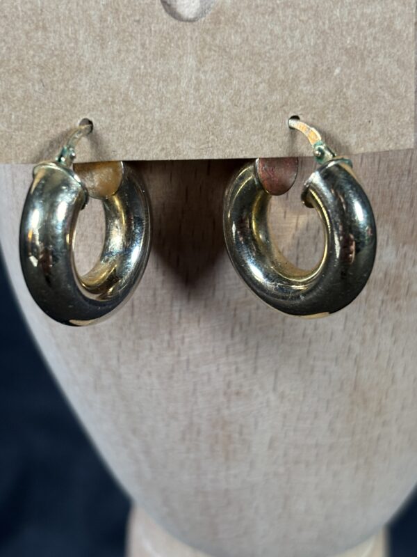 Item #1(Gold Earrings) - Image 5